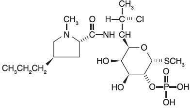 Pill image for These Highlights Do Not Include All The Information Needed To Use Clindesse Safely And Effectively. See Full Prescribing Information For Clindesse.