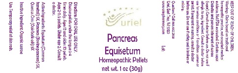 Pill image for pancreas equisetum